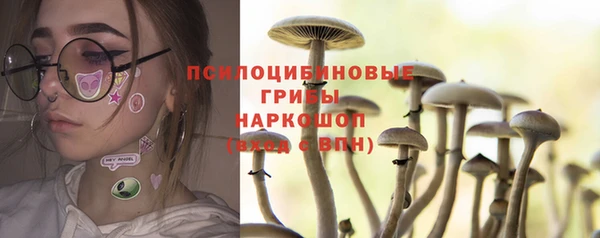 прущие грибы Абдулино