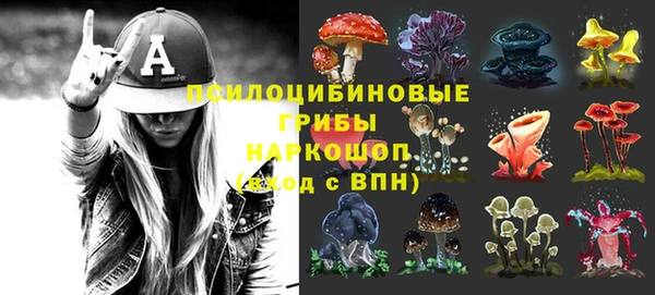 экстази Алексин