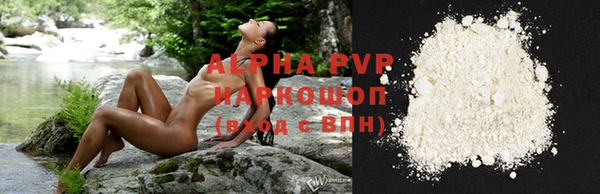 прущие грибы Абдулино
